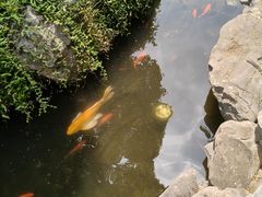 -南京市民俗博物馆(甘熙故居)