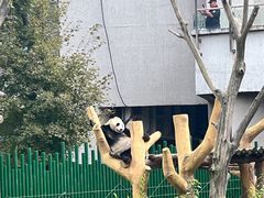 -沈阳森林动物园
