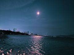 -深圳湾公园(南山区)