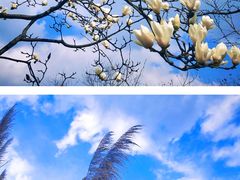 -中国天府农业博览园