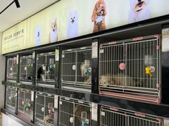 -翊宠yipet猫狗购宠庄园犬舍•猫舍