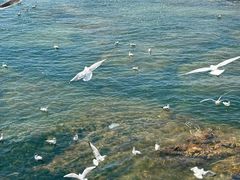 -青岛第三海水浴场