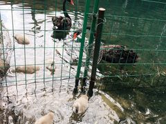 -长白岛森林公园