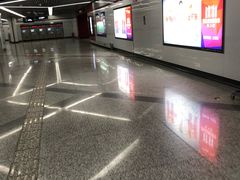 -上海游泳馆(地铁站)