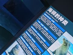 -重庆欢乐海底世界