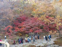 -关门山森林公园