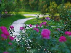 -人民公园(罗湖区)