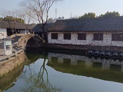 -鲁镇
