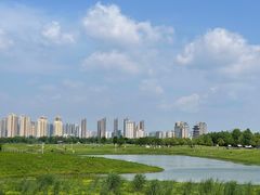 -洋湖国家湿地公园