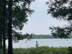 -印象西湖·最忆是杭州实景演出