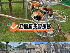 -西霞口神雕山野生动物世界