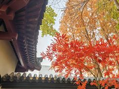 -郑和公园