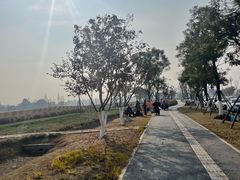 -桤木河湿地公园