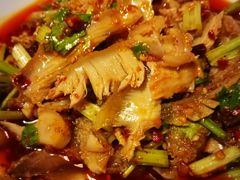 凉拌肺片-马记清真肺片(玉林中横巷)