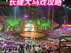-广州长隆国际大马戏