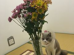 -宠颐生中康贝怡动物医院
