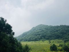 -白草畔自然风景区