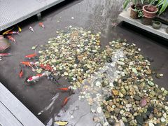 -绿房子方寸咖啡(星海名城店)