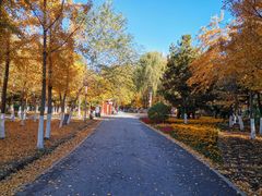 -长白岛森林公园