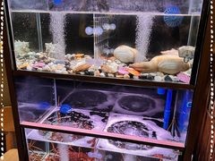 -家贺屋刺身寿司专门店