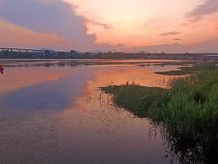 -绿堤公园