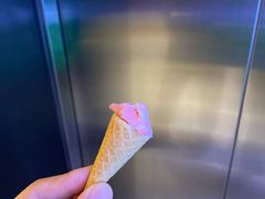 -极拉图·现制冰淇淋(梅溪湖新天地步步高店)