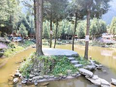 -重庆睡佛山森林公园