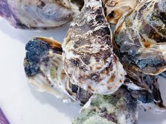 -星奇缘·海鲜餐厅(东山美食地标店)