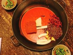 -星鸿社重庆老火锅(燃灯寺分店)