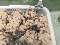 -盒马渔市(平高企业集团·平高广场店)