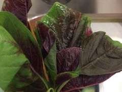 -就这家旋转小火锅(西安路罗斯福店)