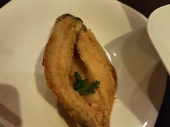 -万豪中餐厅·粤菜·北京粤财JW万豪酒店