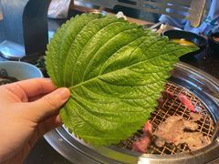 -韩烧牛中牛·甄选黑牛烤肉(黑金店)