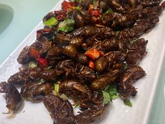 -丁里羊肉小镇(天鹅湖总店)