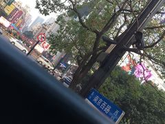 -BUS TOUR观光巴士