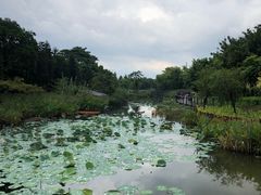 -映月湖公园
