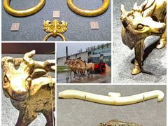-闵行博物馆