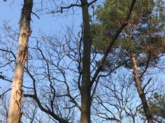 -三门江国家森林公园