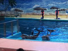 -福州罗源湾海洋世界旅游区