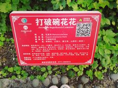 -广西壮族自治区药用植物园