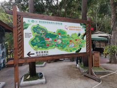 -西双版纳原始森林公园