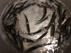 -抚仙湖禄充风景区