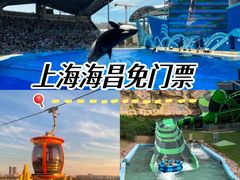 -上海海昌海洋公园-停车场