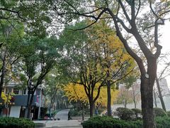 -上海不夜城广场(上海不夜城金融大厦店)