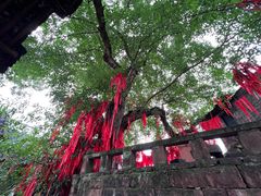 -尧坝古镇