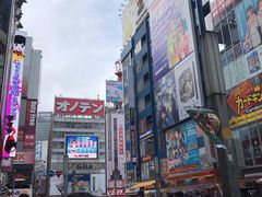 -秋叶原电器街