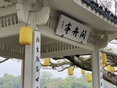 -江心屿景区