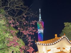 -海心沙亚运公园