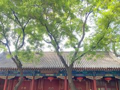 -北京第二实验小学