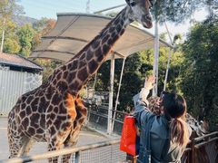 -泉州海丝野生动物世界